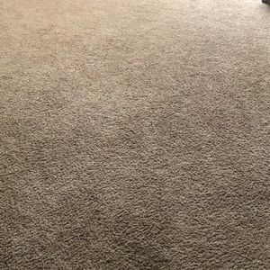 Meet your Posher, Tony